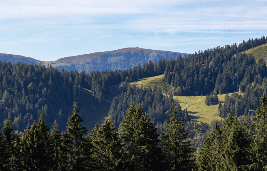 Exemples de paysage de la vallée de Munster juste à côté de l'appartement